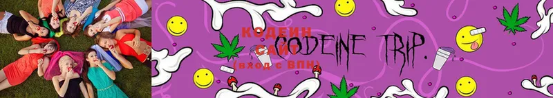 даркнет какой сайт  Калининск  Кодеин Purple Drank 